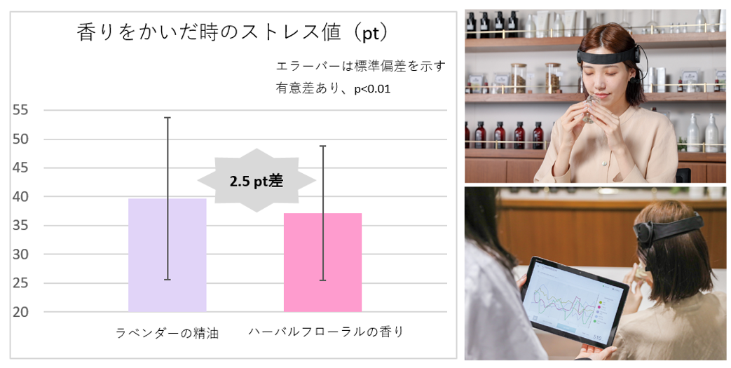 ラベンダー精油との比較と実験風景
