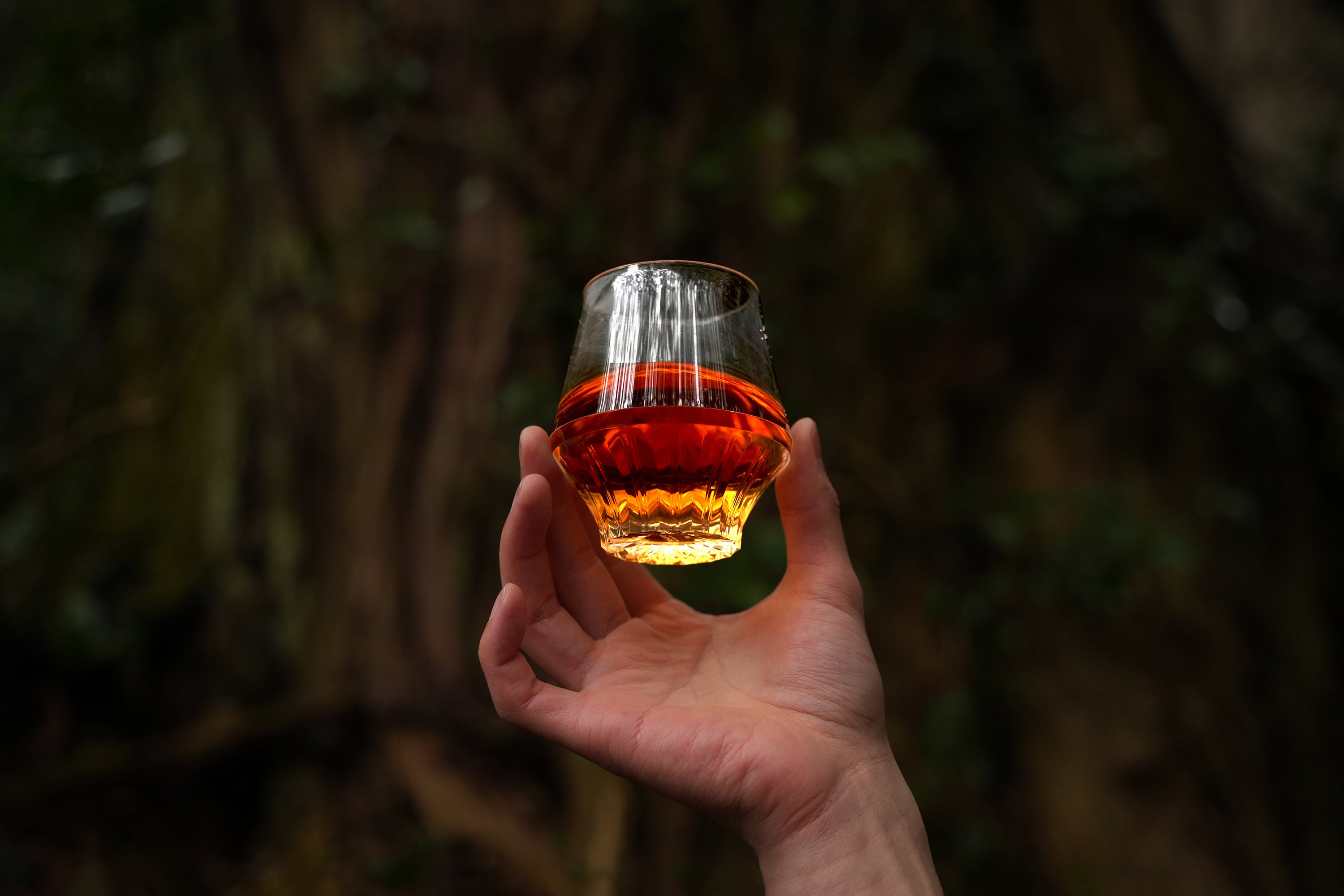 画像の説明：森を背景に、香りお良いお酒の入ったKINJO JAPAN F0を高く持っている様子