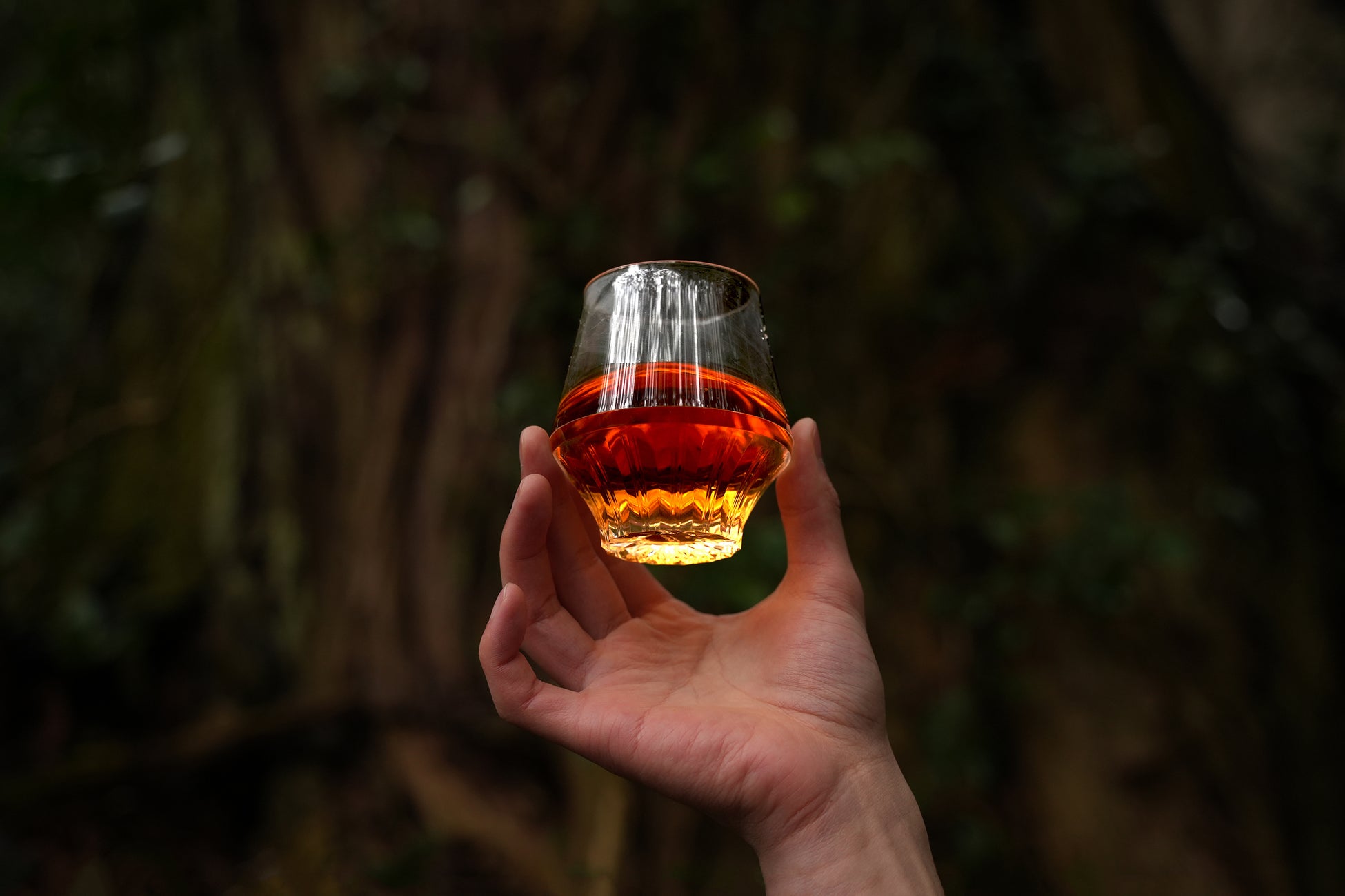画像の説明:森を背景に、香りの良いお酒の入ったKINJO JAPAN F0を高く持っている様子