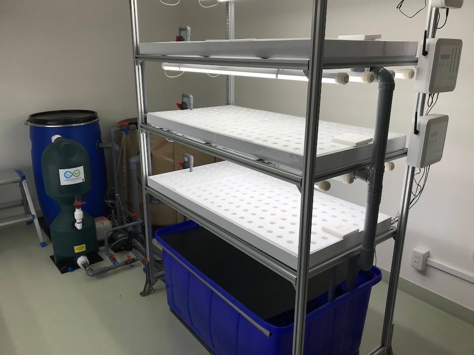 試験農場の様子