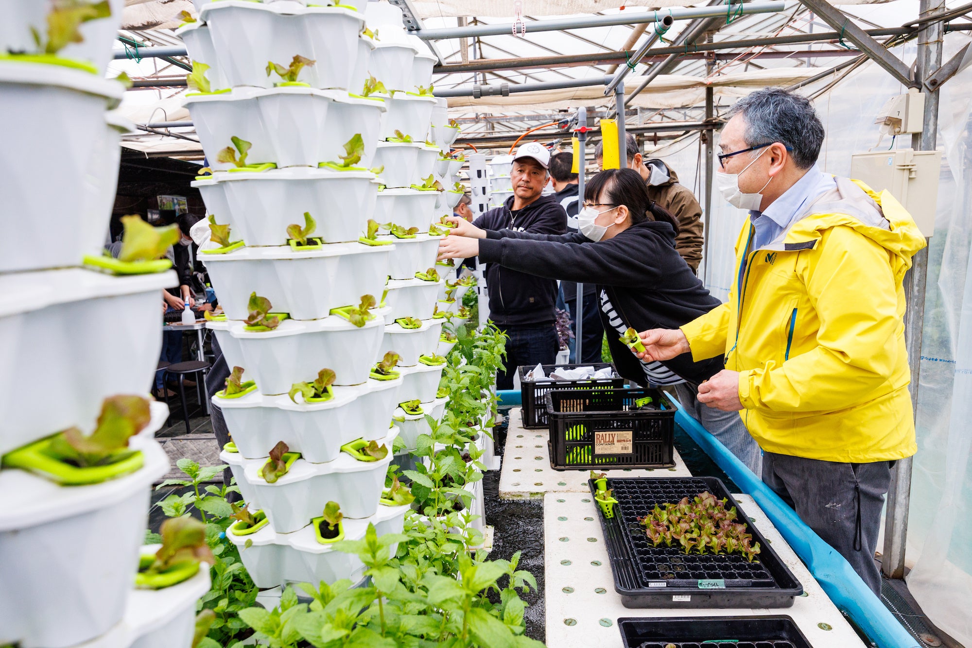 農作業体験 イメージ