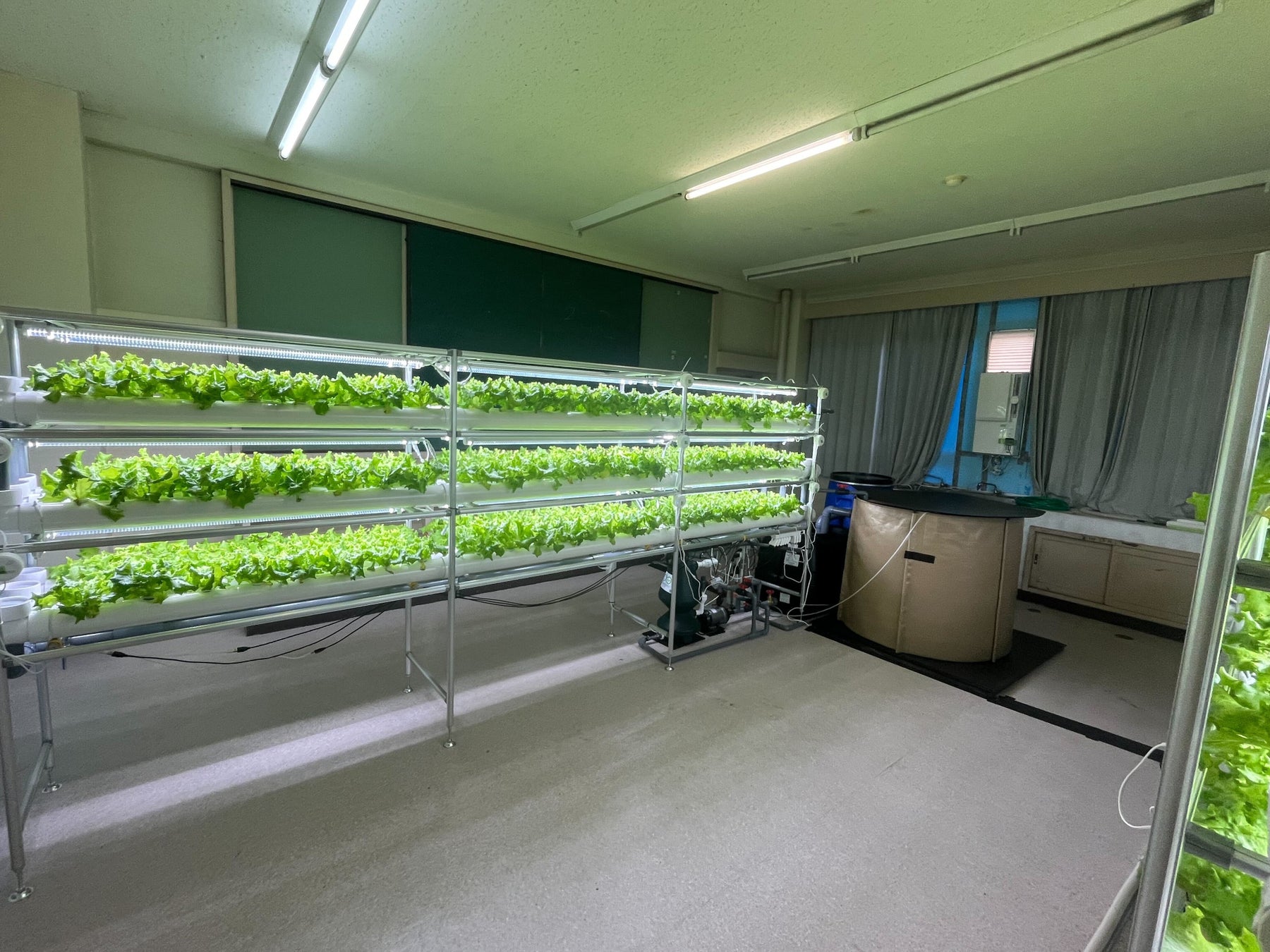 実証実験の様子