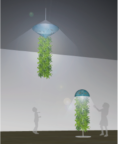 優しい光の中で生態系を形成する照明型アクアポニックス