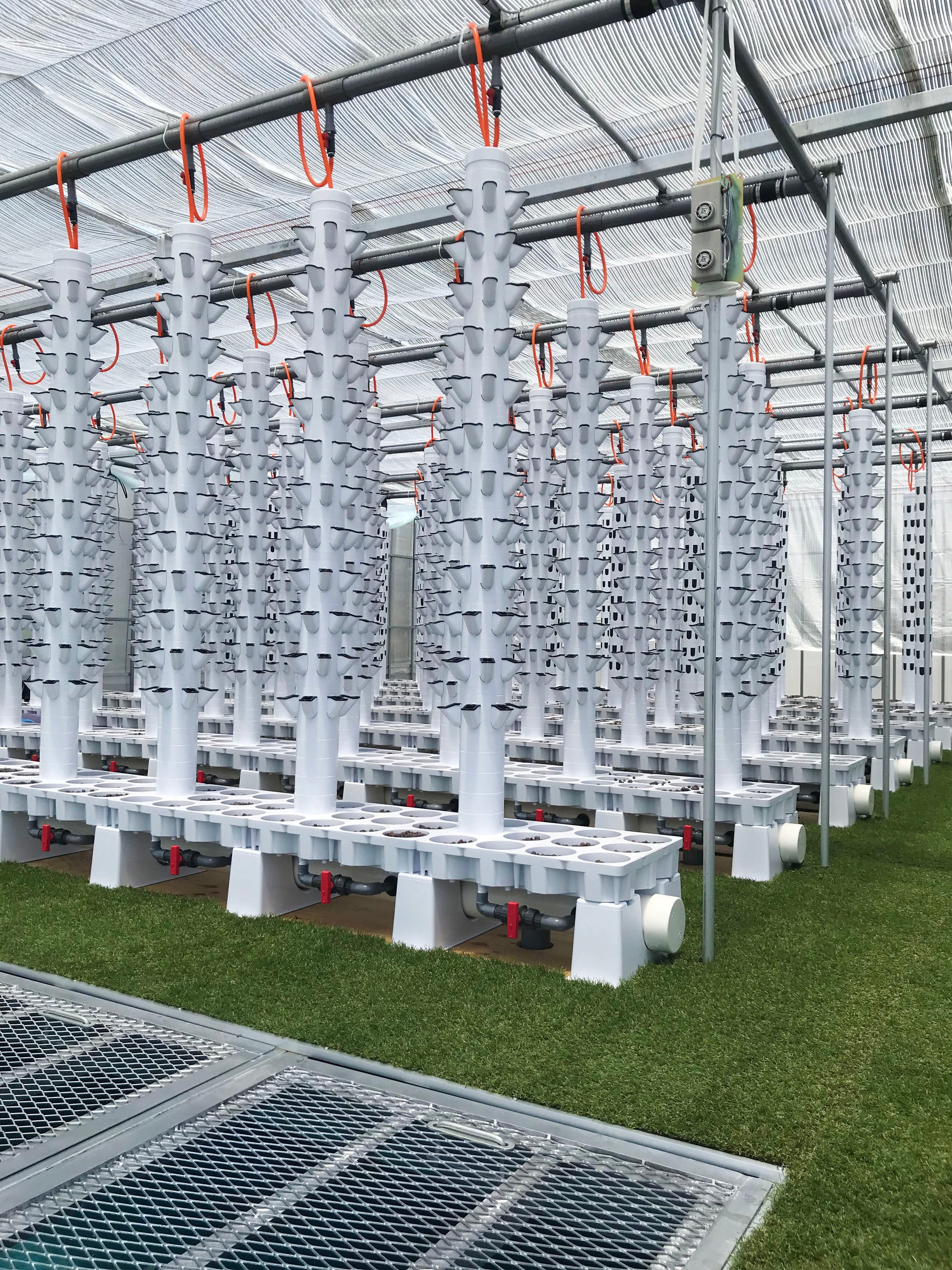 アクポニハウス内部