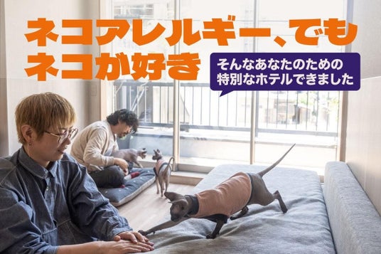 猫アレルギーでも猫と泊まれる宿。香川・高松でクラウドファンディング開始 猫アレルギーでも猫と泊まれる宿。香川・高松でクラウドファンディング開始
