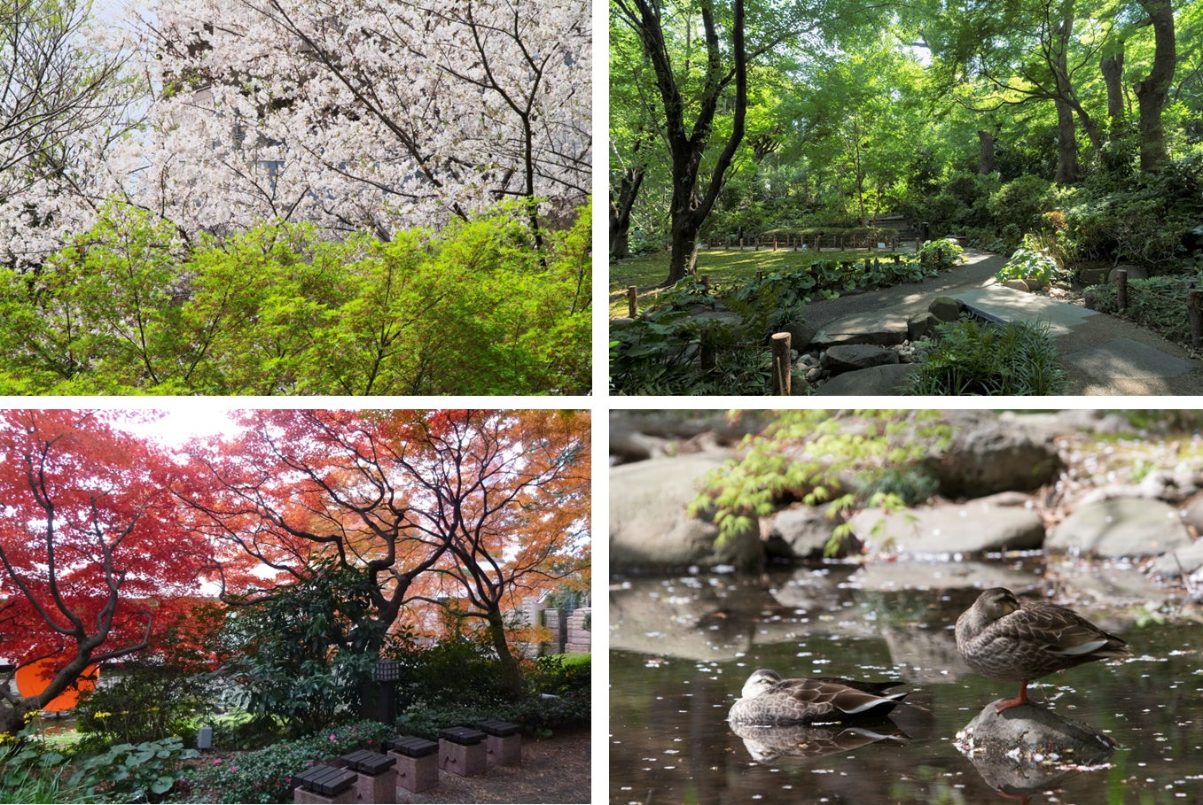 御殿山庭園