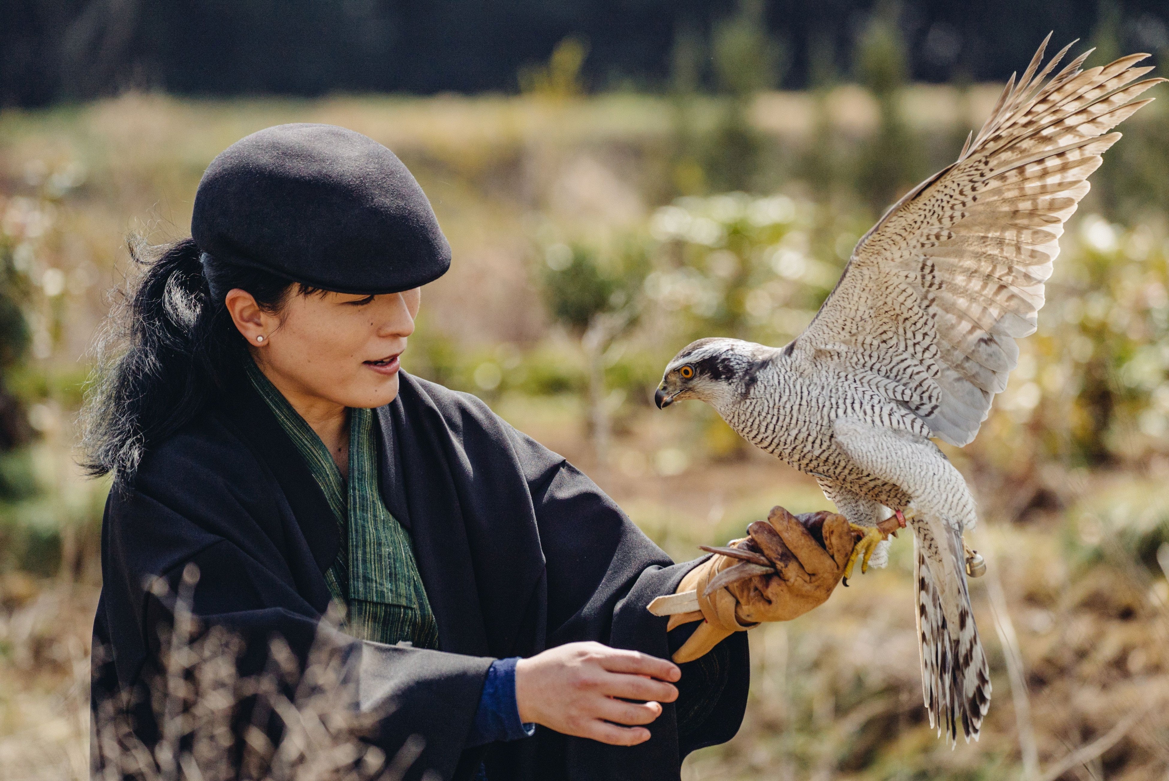 諏訪流放鷹術イメージ