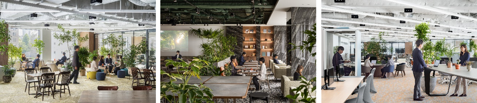 森トラスト　新オフィス