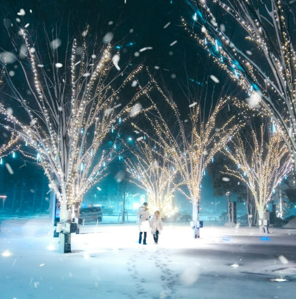 昨年の最優秀賞