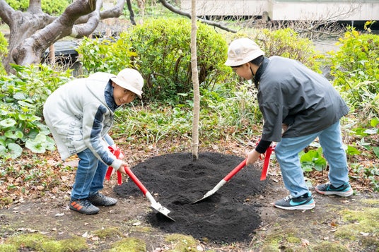 「御殿山 さくらのバトンプロジェクト」開催レポート 「御殿山 さくらのバトンプロジェクト」開催レポート