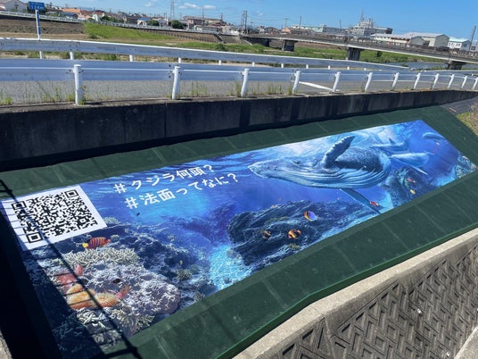 川の堤防に「クジラの隠し絵」が出現!あなたは何頭見つけられる? 川の堤防に「クジラの隠し絵」が出現!あなたは何頭見つけられる?
