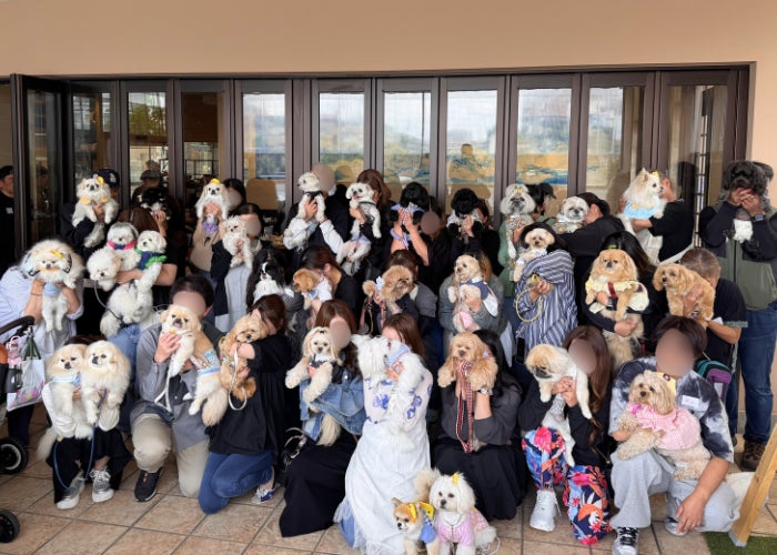 Dog Hug Lifeが「鼻ぺちゃ学園しゃくれ部 春のオフ会」を取材|Barky Bitesトリーツ協賛でイベントを応援