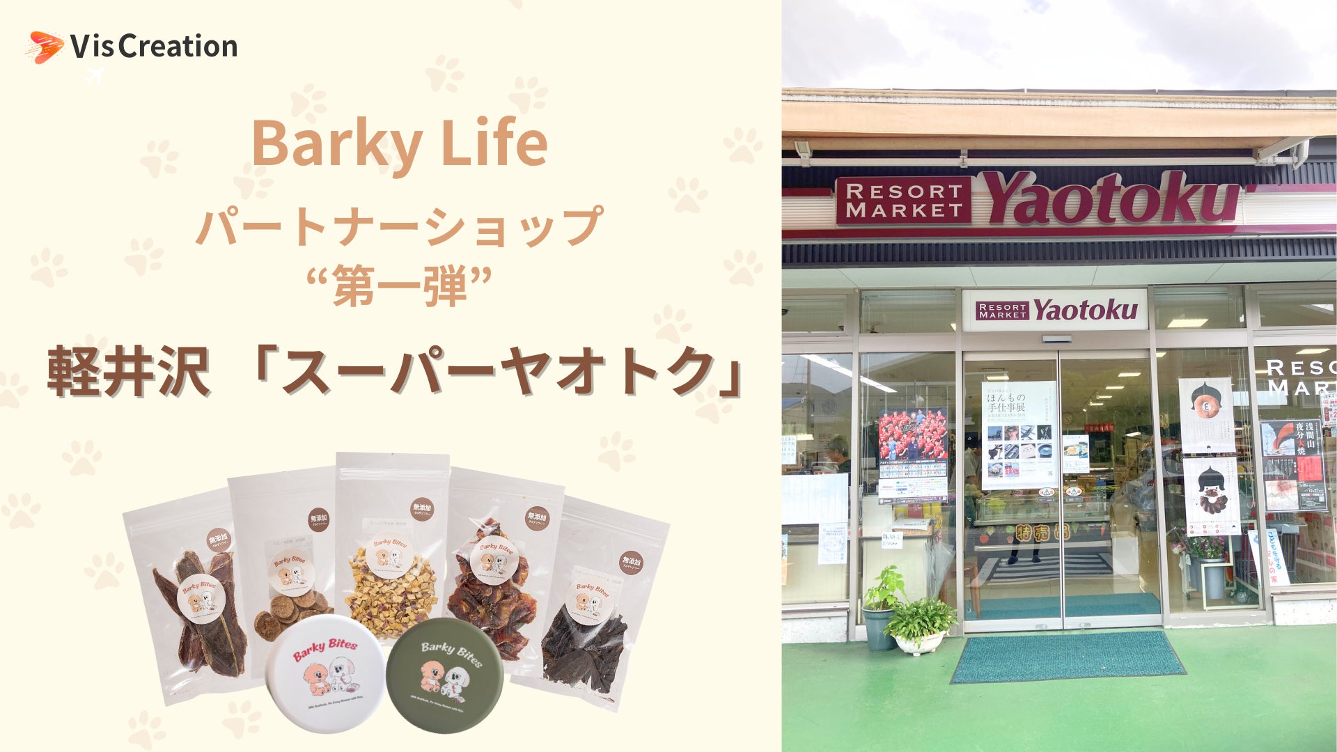 活動歴および当時の関連ビジュアル記録