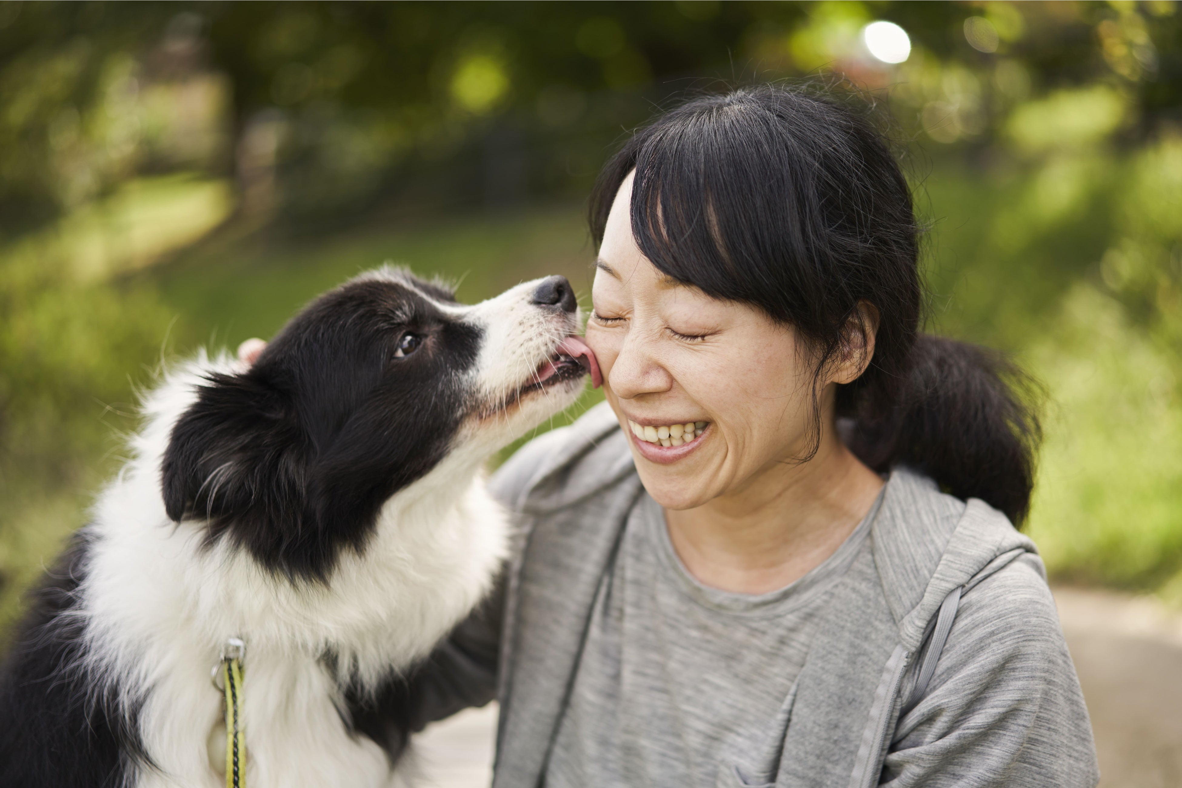 1279102934,Yagi-Studio,GettyImages