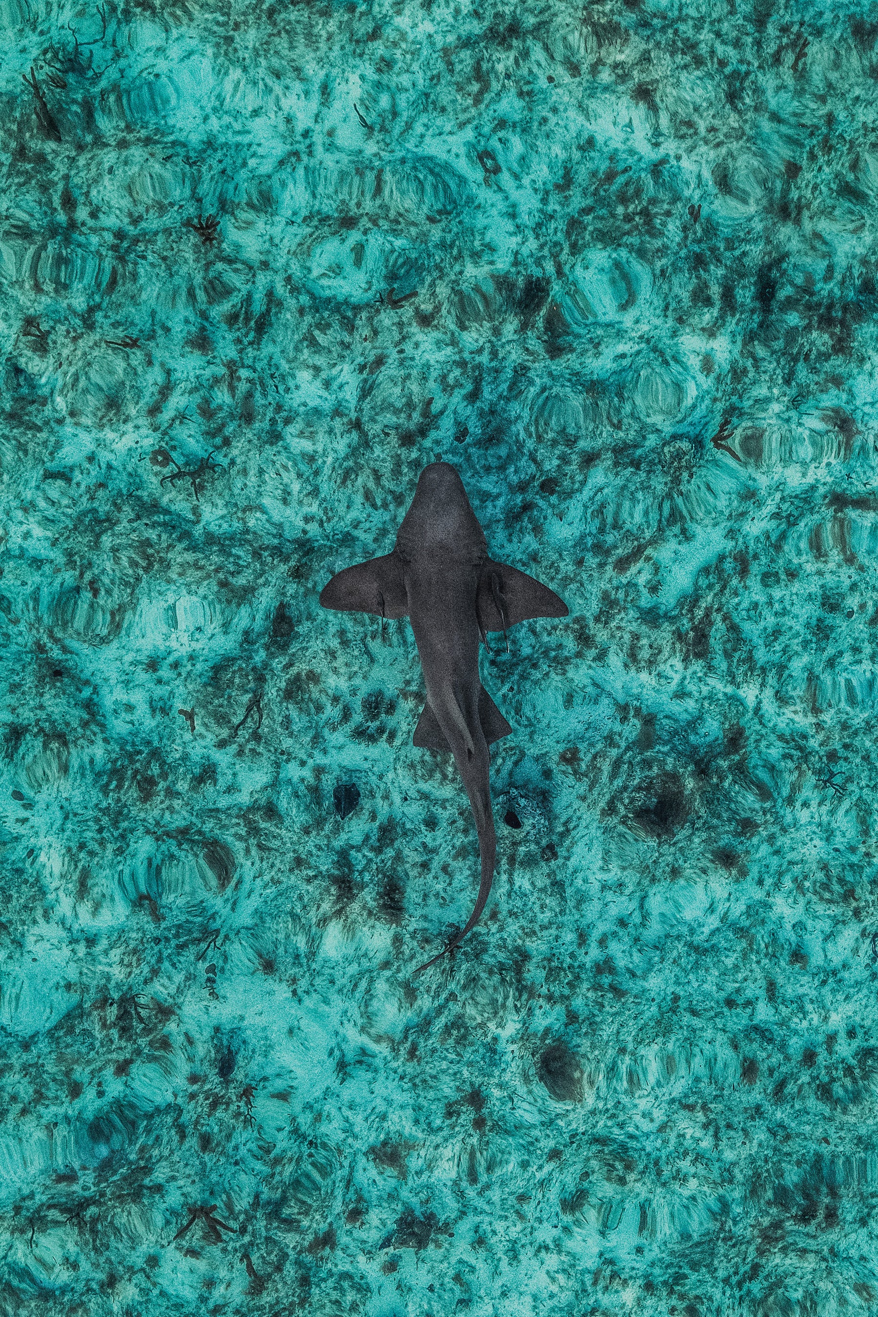 1451118248,Abstract Aerial Art,GettyImages