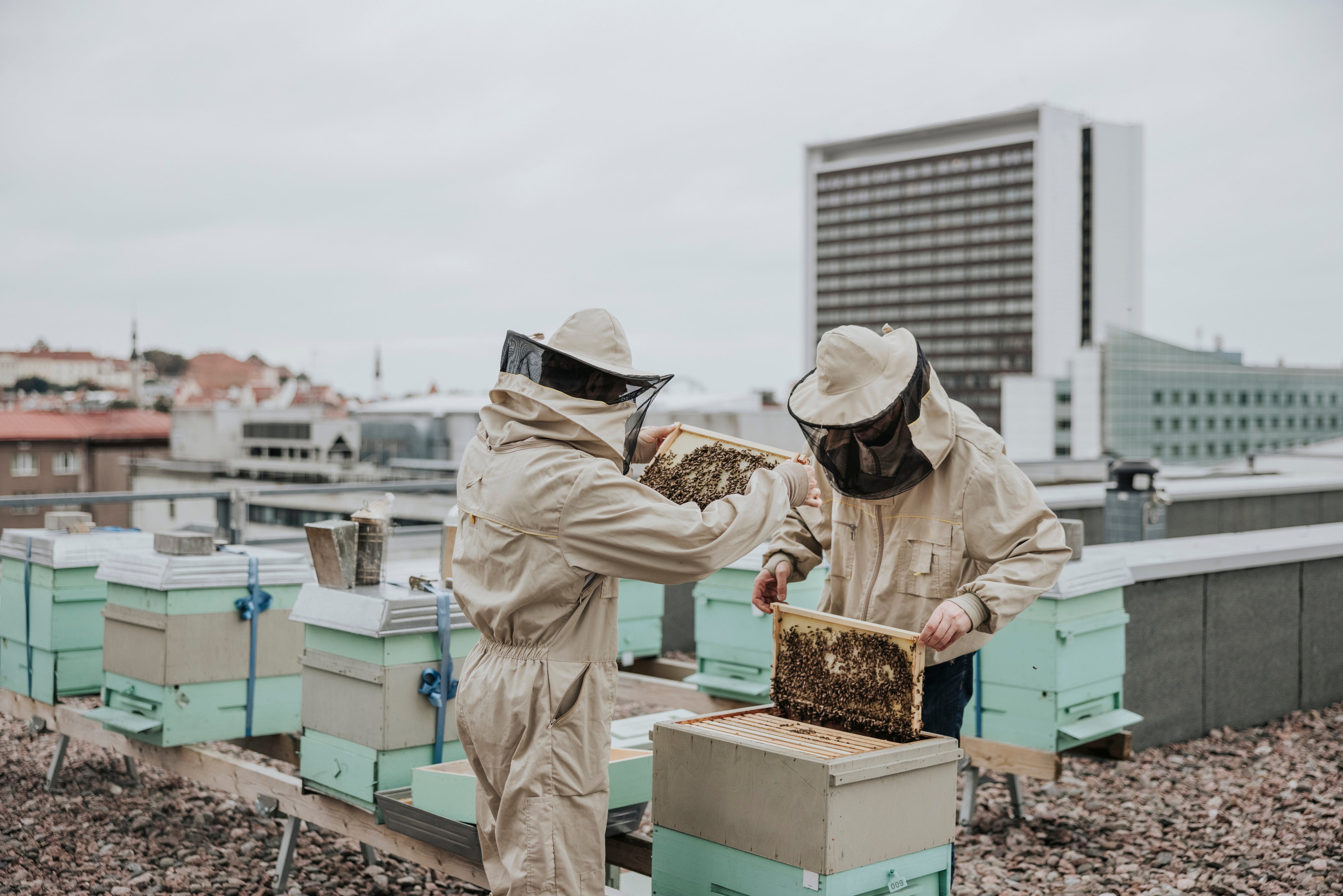 1343617583,visualspace,iStock