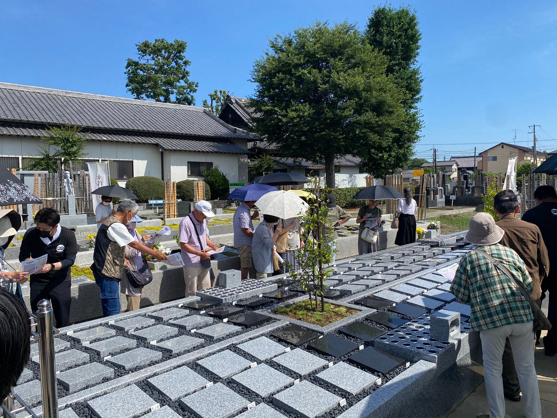 「亡くなってから」から「元気なうちに決める」へ、生前契約8割超の樹木葬が新区画オープン