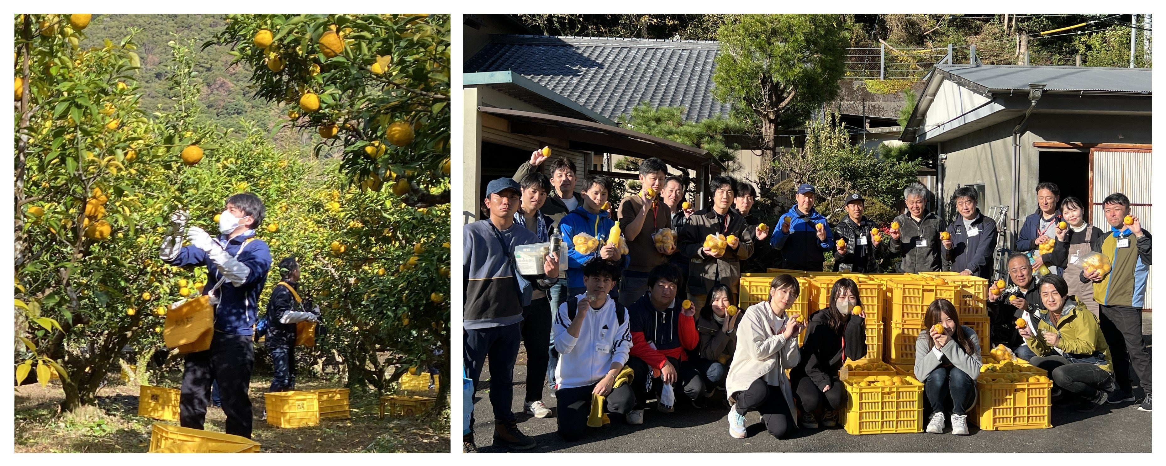 ウテナ社員・ウエルシアグループ社員（ウエルシアホールディングス株式会社・ウエルシア薬局株式会社・株式会社よどや・株式会社ププレひまわり・株式会社コクミン）と、北川村産業政策課・ゆず農園の皆様