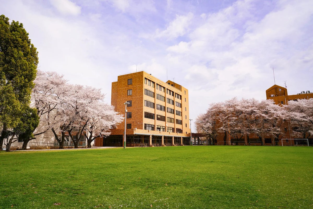 野球未経験の小学1~3年生と保護者が対象 埼玉西武ライオンズ・新座市・十文字学園女子大学が「親子野球体験イベント」を12月12日に開催