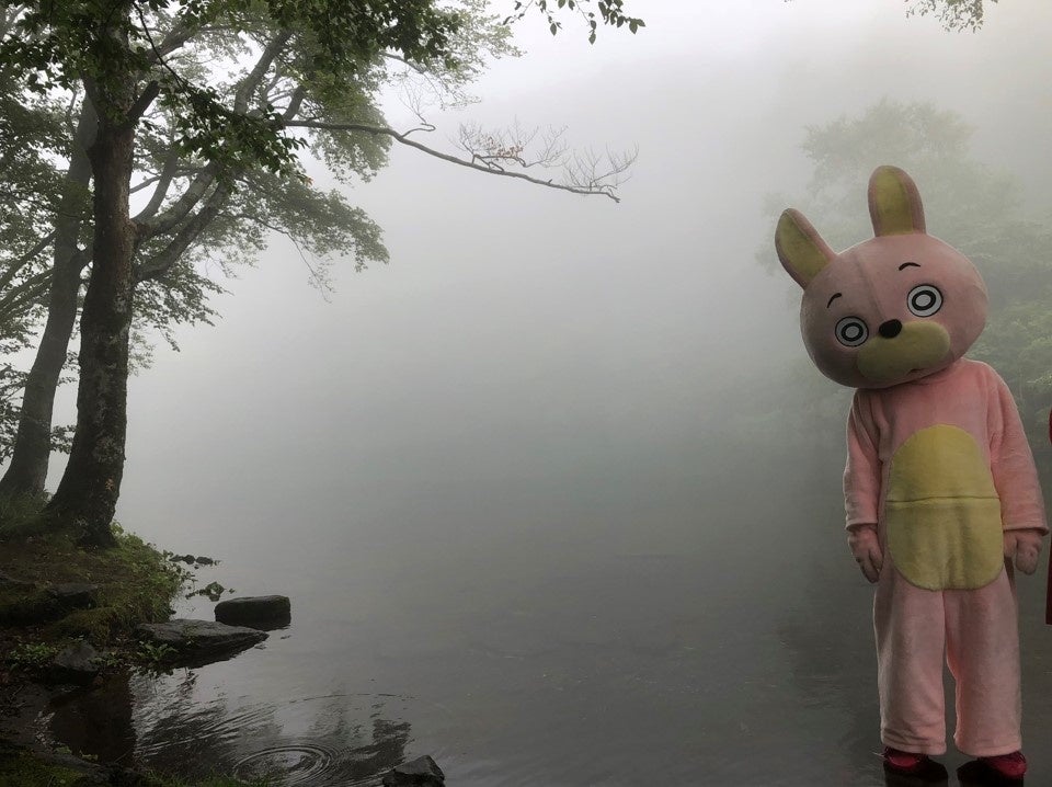 桃色ウサヒ ヴィレッジヴァンガード 山形で愛される無個性 無軌道 無表情のウサギとコラボ ヴィレッジヴァンガードのプレスリリース