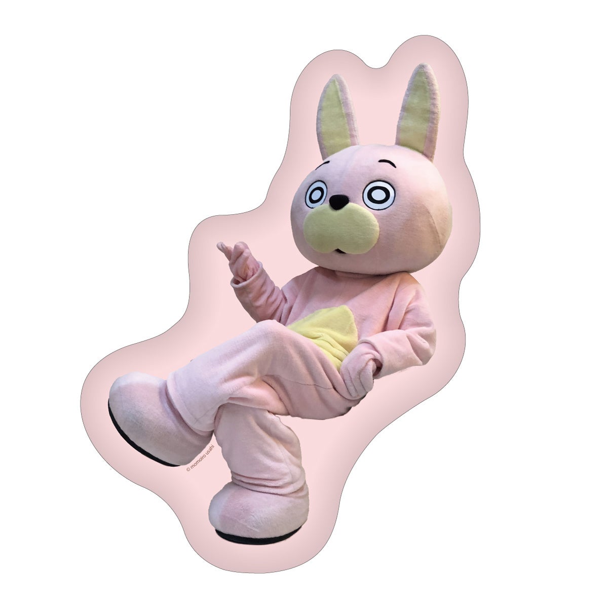 桃色ウサヒ×ヴィレッジヴァンガード】～山形で愛される無個性・無軌道