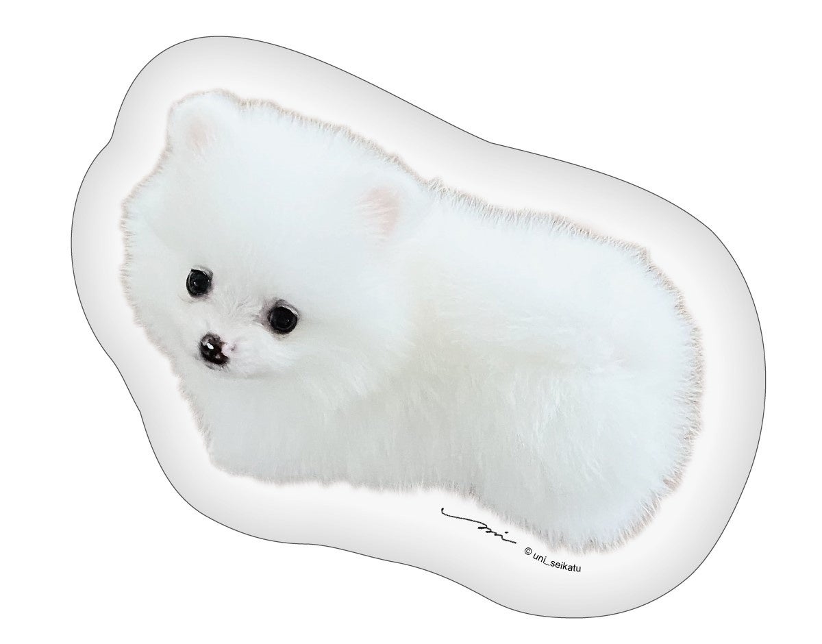 ももさん様♡⃛ポメラニアン 猫 ウェルカムボード ももさん様♡⃛ポメラニアン 猫 ウェルカムボード まったり3日間