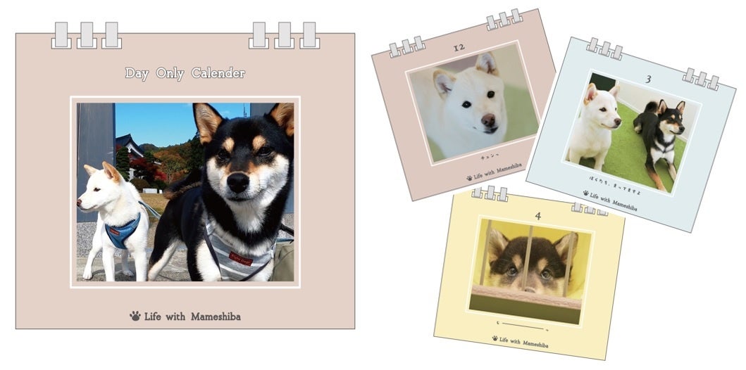 豆柴がいる暮らし×ヴィレッジヴァンガード】～Life with Mameshiba