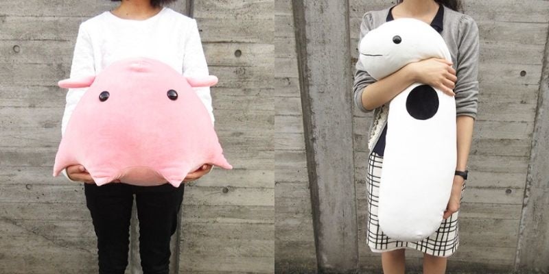 値下げ中❗️VIVANT ヴィヴァンちゃん ぬいぐるみ/ハンカチ セット タオル ハンカチ 犬 イヌ いぬ ポメラニアン｜ミスターアンド