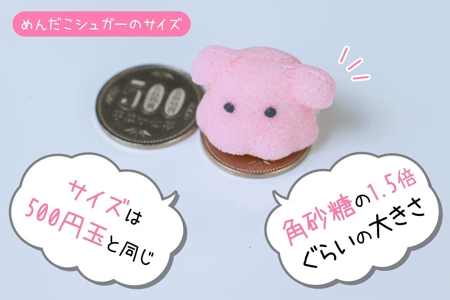 溶けるめんだこ！？】こだわりの「めんだこシュガー」が