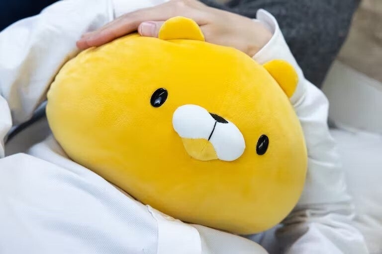 うんたねこ　うんたぬい　デフォ顔 うんたぬい 2種セット - メルカリ