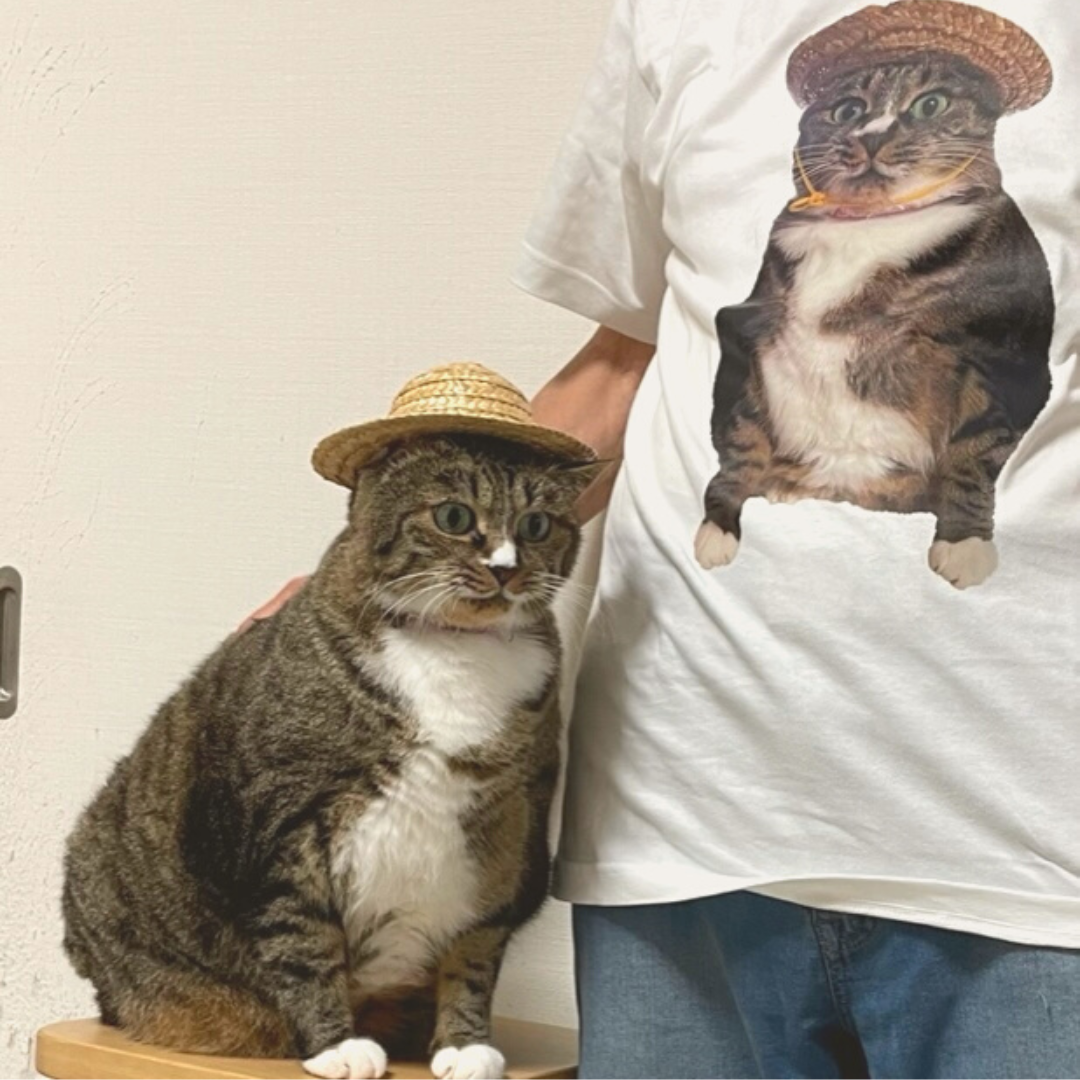 ココニャ×ヴィレッジヴァンガード】～コラボグッズ発売決定