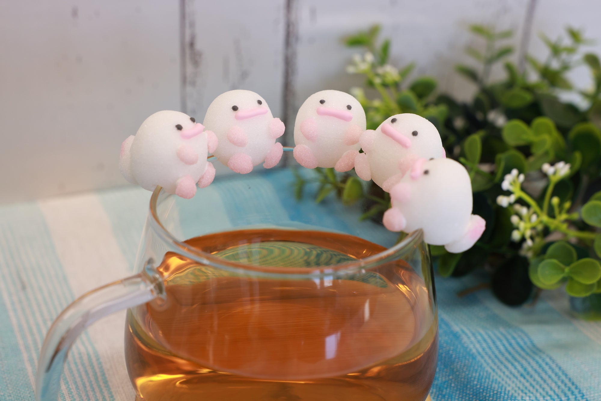 ゆるかわ カップのフチの乗れるオオサンショウウオクラフトシュガーが登場 ヴィレッジヴァンガードのプレスリリース