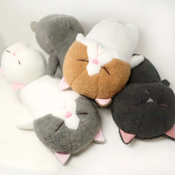 ぼうみたいなねこ】大人気「ぼうねこ」シリーズにLサイズ
