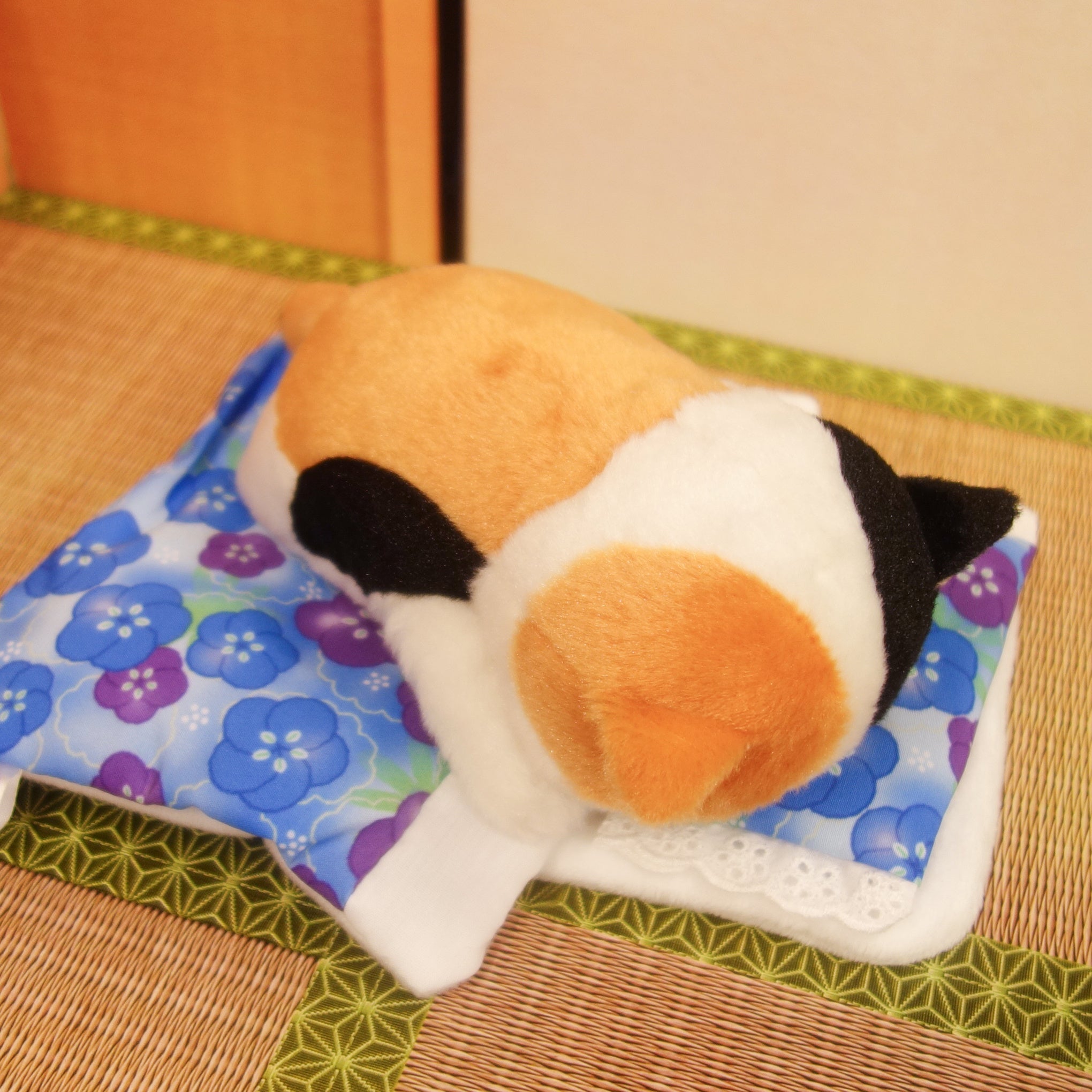 寝ているポーズのぬいぐるみ 寝姿がまるで棒のような猫「ぼうみたいなねこ」に、ごめん寝