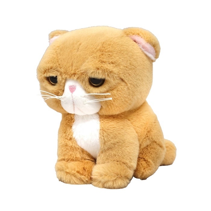 触り心地抜群】なんだかしょんぼりしてる顔にハマる人続出！？「猫のも