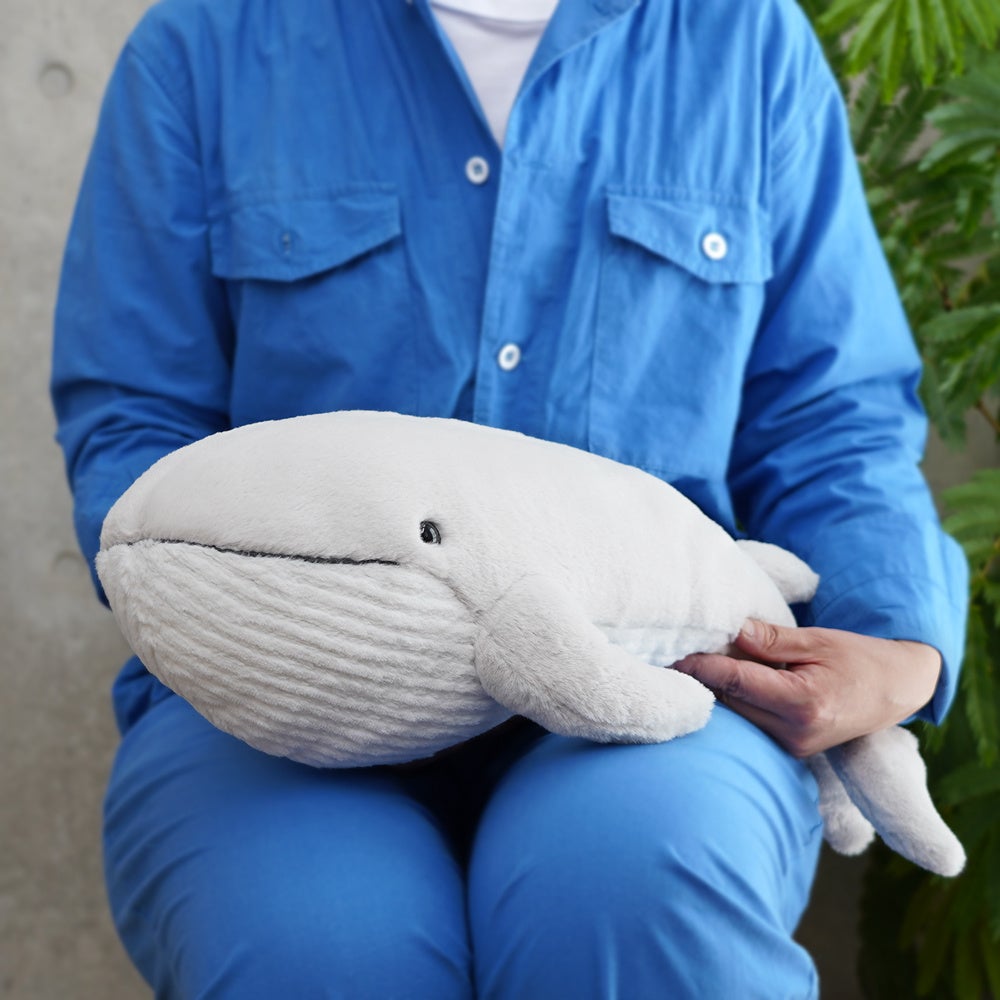 癒し】人気ぬいぐるみ「ひざシリーズ」から海洋生物新登場！ | 株式