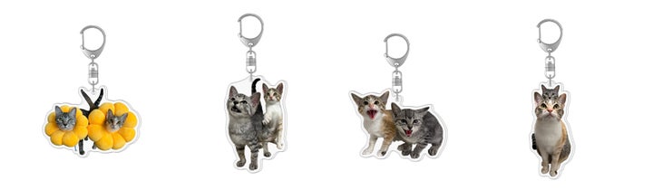 可愛い限定グッズ!ととまるはんみ×ヴィレッジヴァンガードコラボ発売♪ 可愛い限定グッズ!ととまるはんみ×ヴィレッジヴァンガードコラボ発売♪