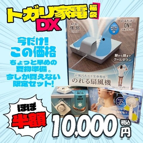 最大1万円のクーポンが当たる！大好評のヴィレヴァン福袋「春の