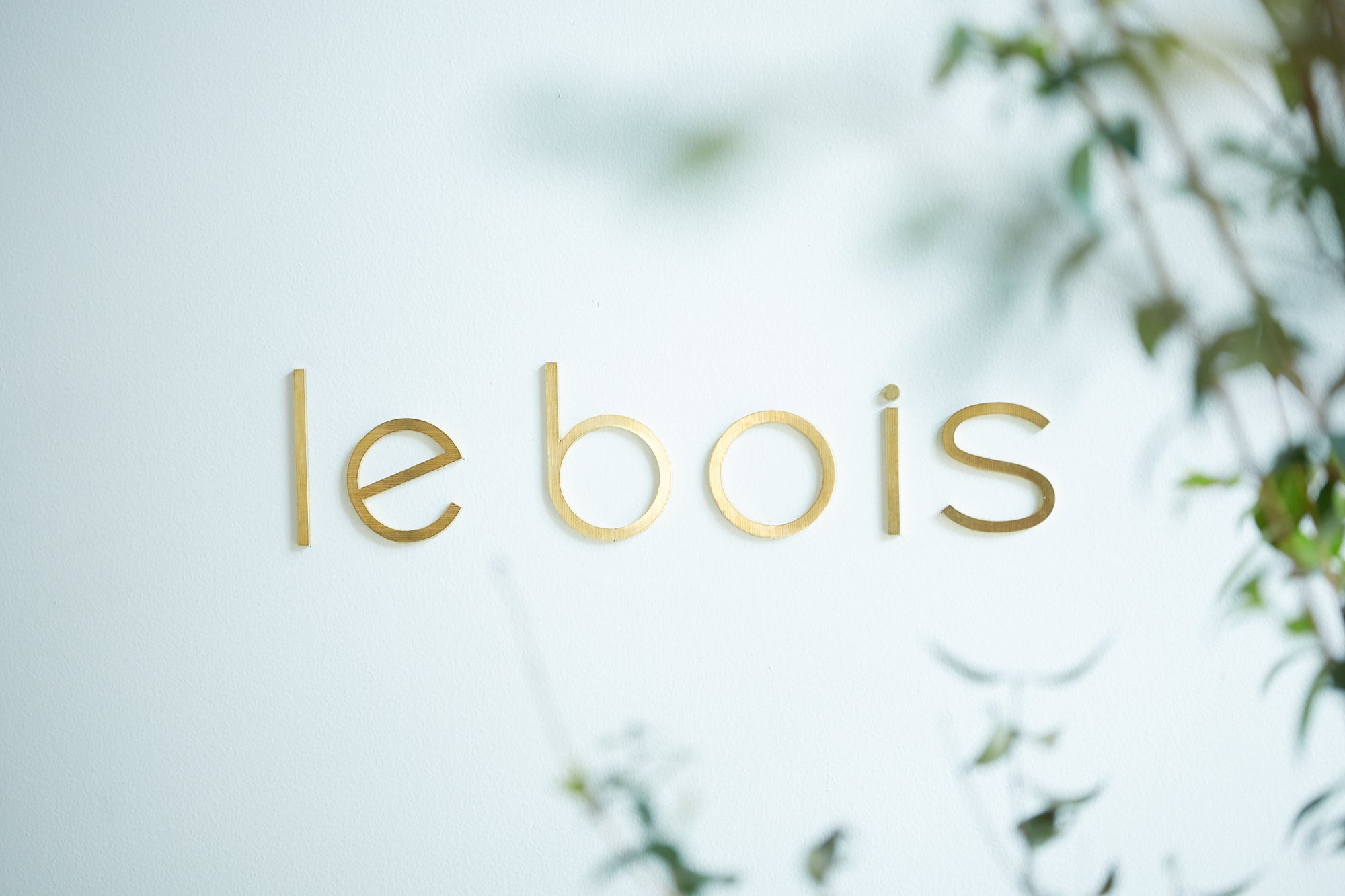 ルボア フィトテラピースクール