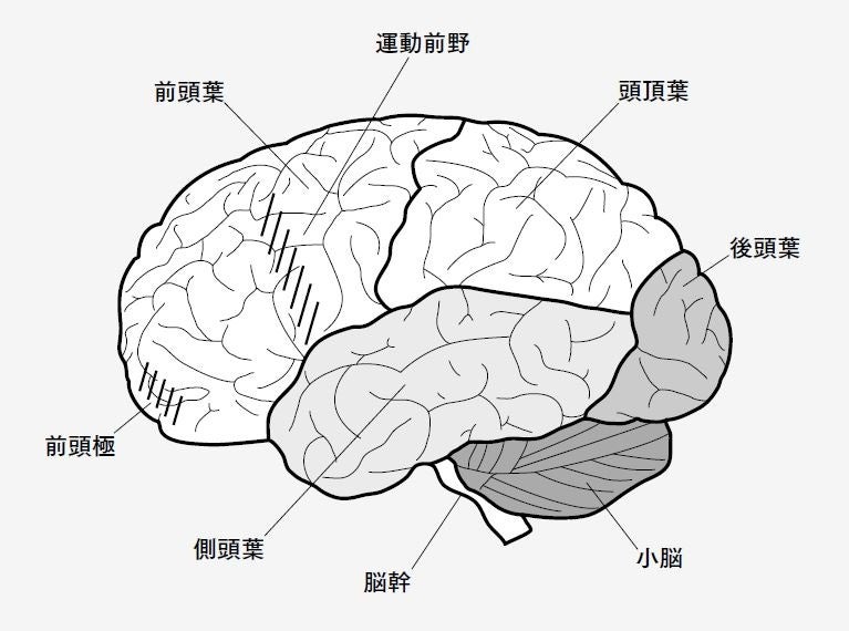 老化は”感情”からはじまる⁈ 医者が教える老けないための脳の使い方とは？ | 株式会社ディスカヴァー・トゥエンティワンのプレスリリース