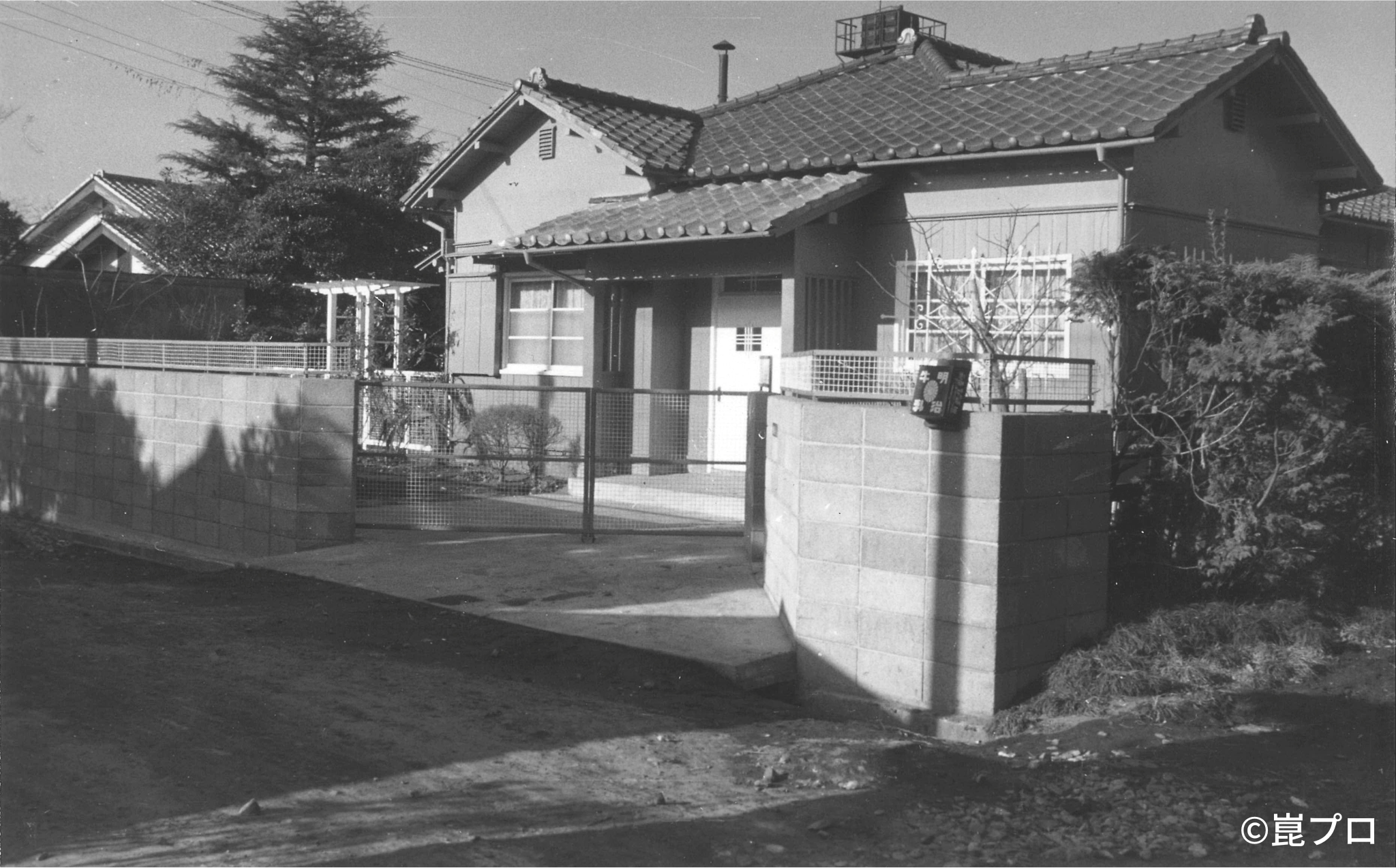 市川邸の建物外観