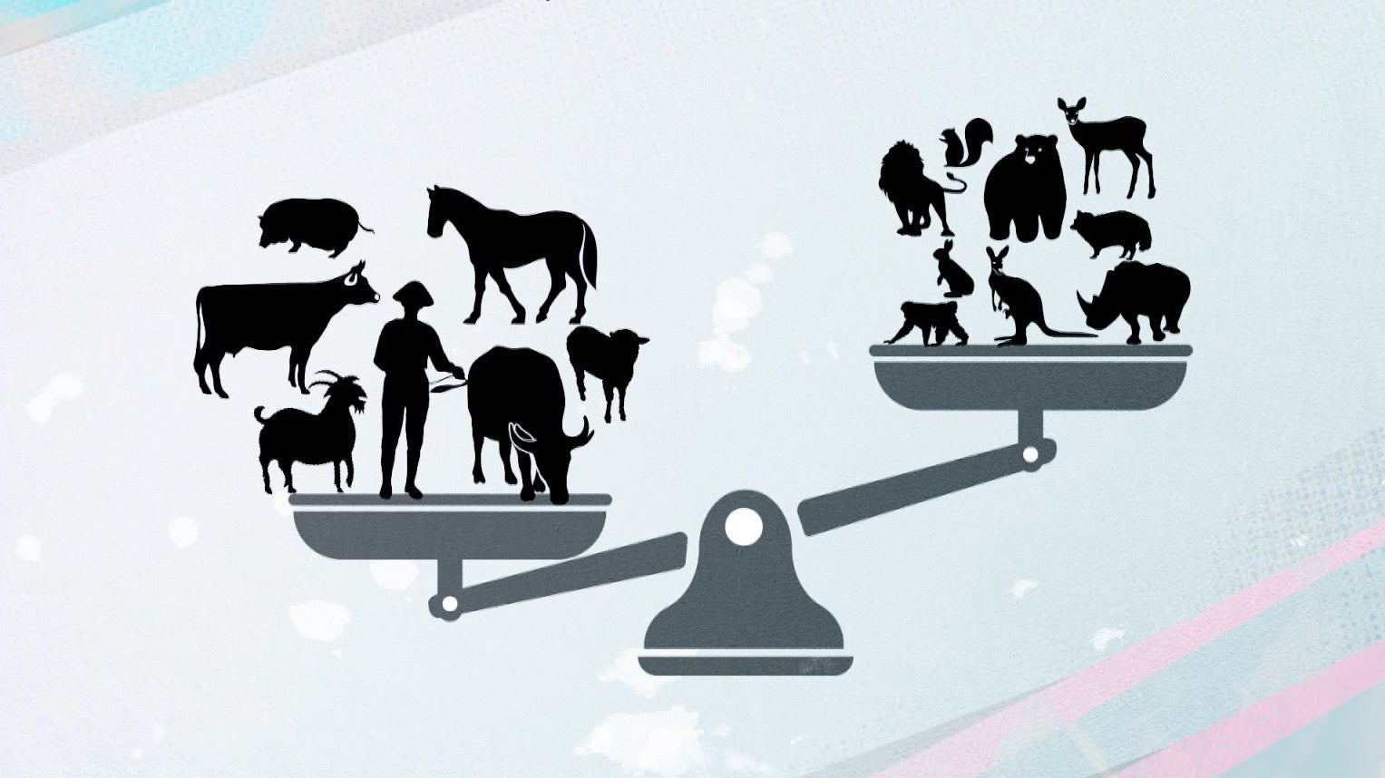 人と家畜、野生動物の割合は96：4(Yinon M. Bar-On, Rob Phillips, and Ron Milo”The biomass distribution on Earth”Proceedings of National Academy 