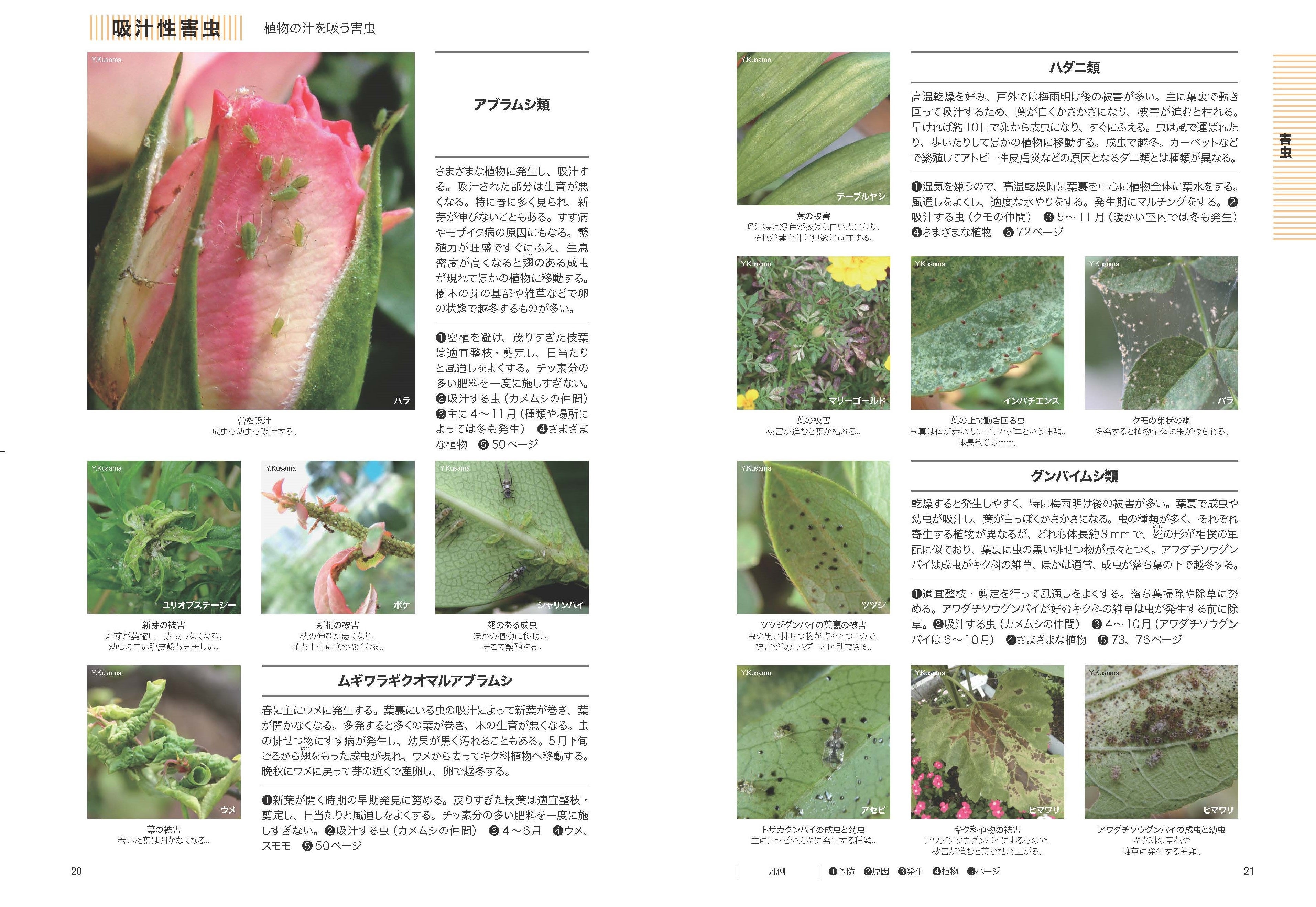 『NHK趣味の園芸　12か月栽培ナビDo　病気と害虫を防ぐ』