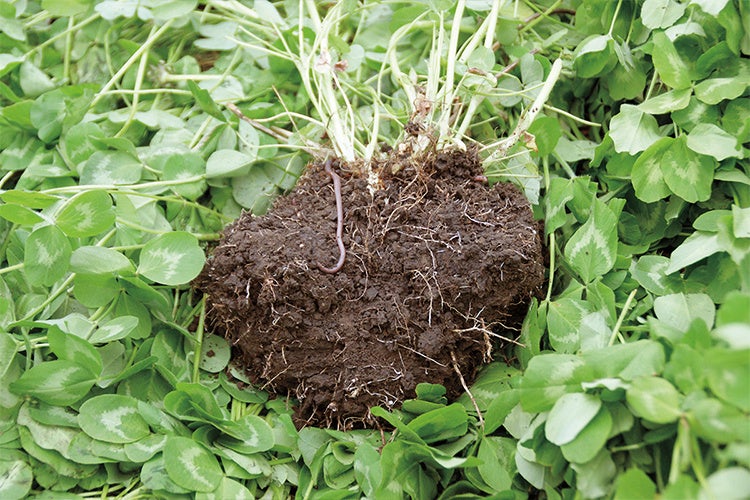 生態系を回復させ 温暖化まで止める 世界で大注目の農業の第一人者による野心的な土壌のバイブル 土を育てる 自然をよみがえらせる土壌 革命 5月30日発売 株式会社nhk出版のプレスリリース 生態系を回復させ 温暖化まで止める 世界で大注目の農業の第一人者による野心的な土壌のバイブル 土を育てる 自然をよみがえらせる土壌 革命 5月30日発売 株式会社nhk出版のプレスリリース