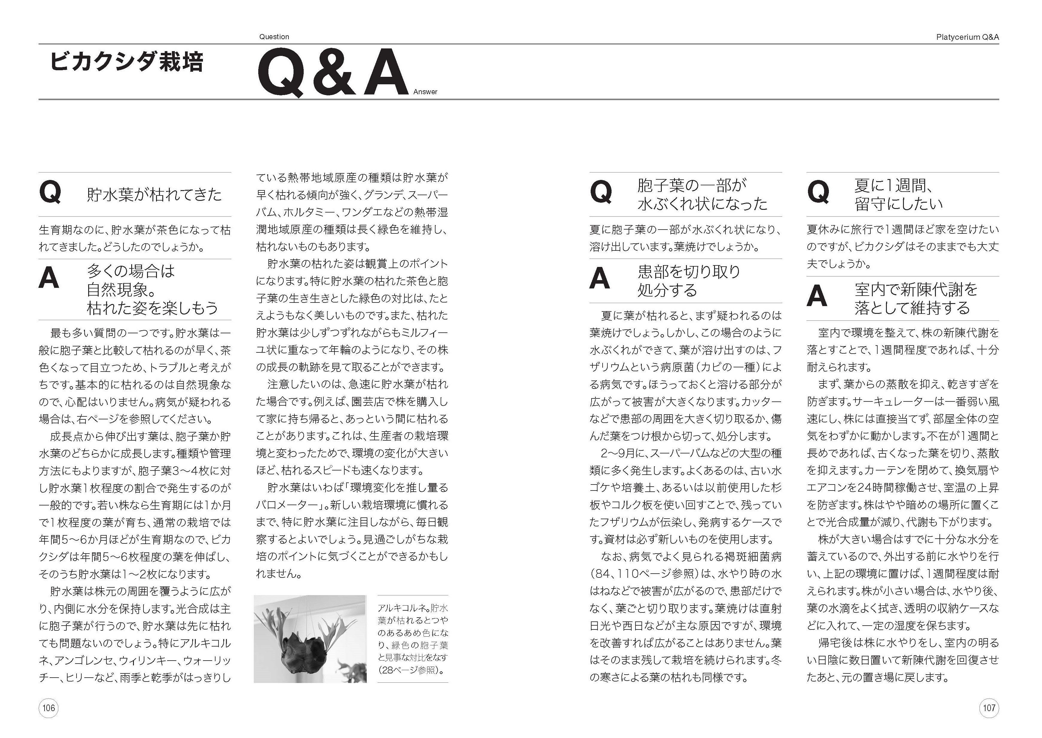 『12か月栽培ナビNEO　観葉植物　ビカクシダ』ビカクシダ栽培Q&A