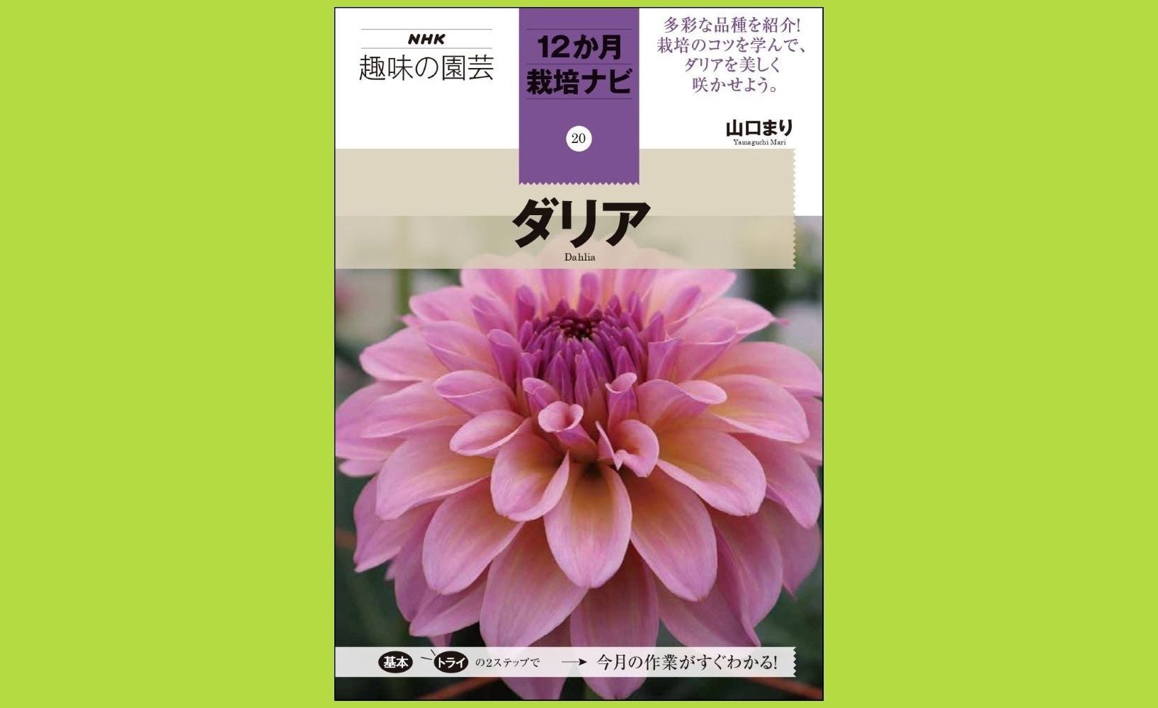 NHK趣味の園芸 12か月栽培ナビ　⑳ダリア