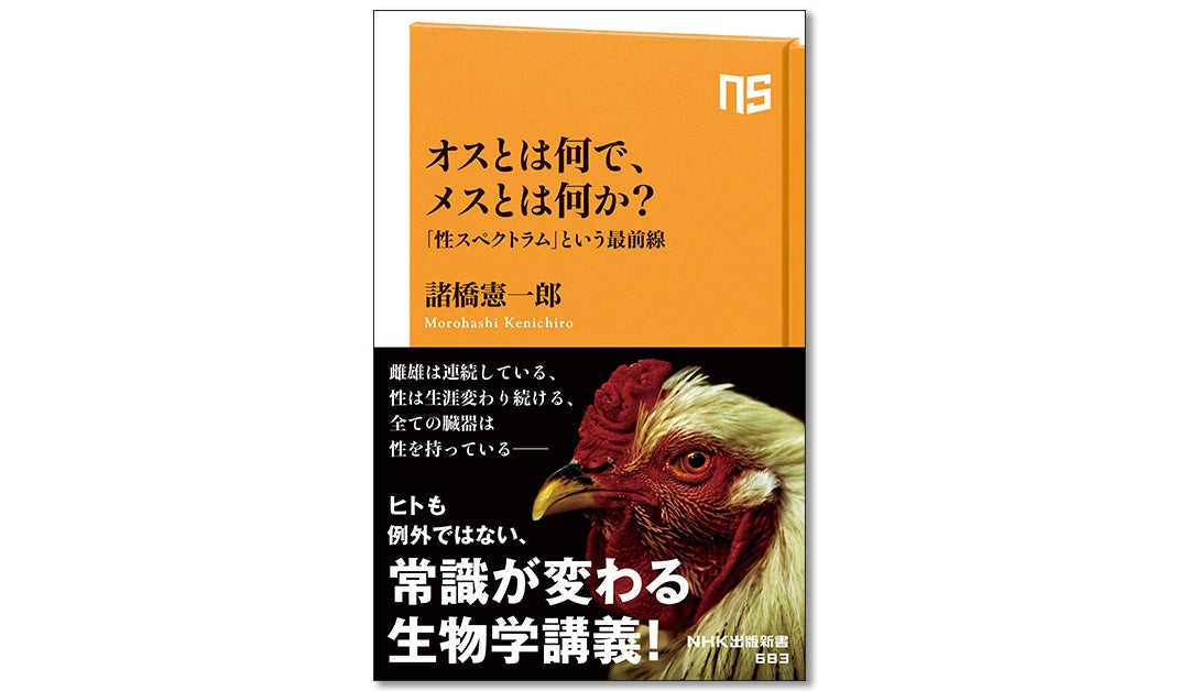 諸橋 憲一郎『オスとは何で、メスとは何か? 「性スペクトラム」という最前線』