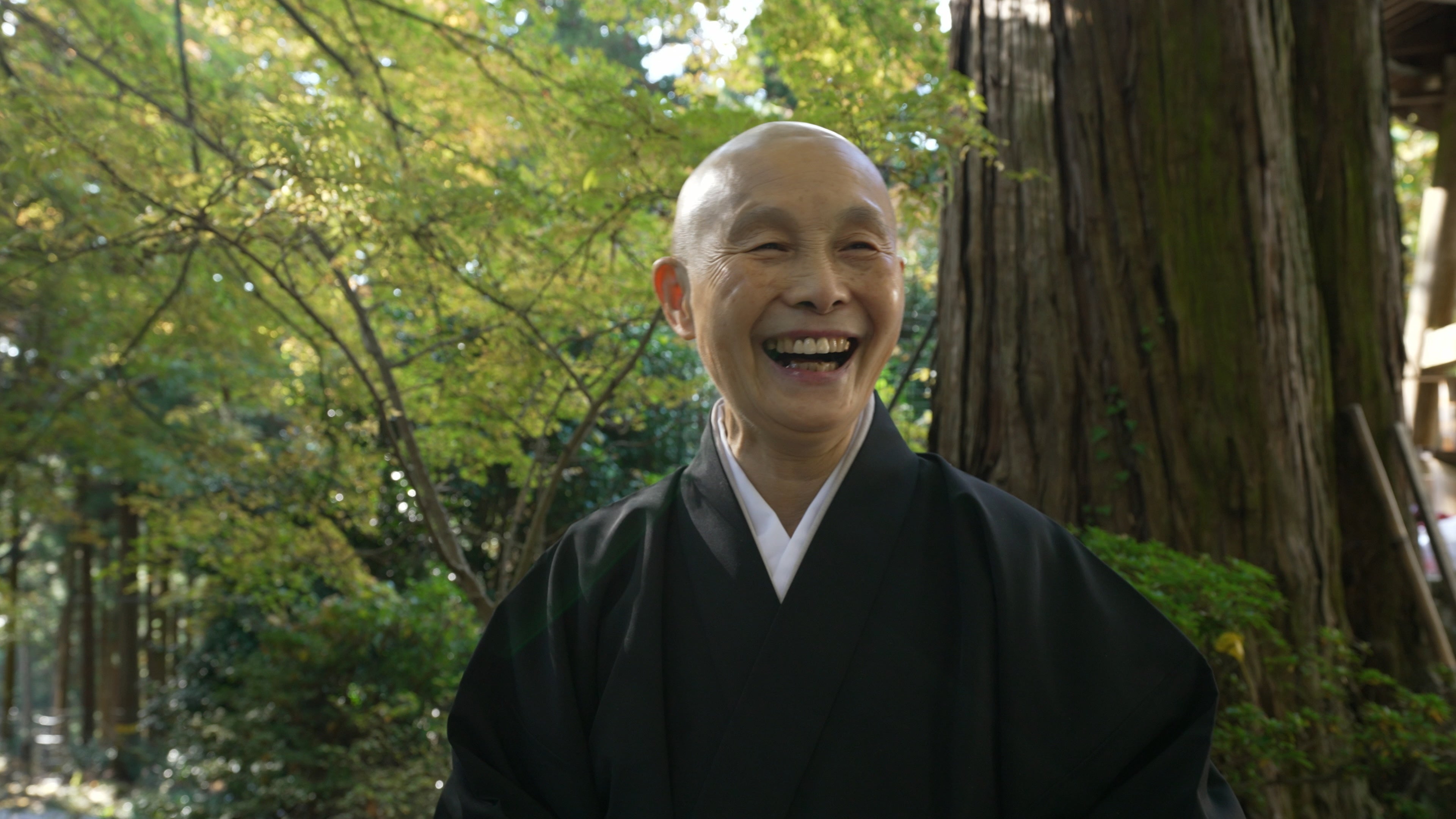 『やまと尼寺 精進日記 ３ ひとり生きる豊穣』より