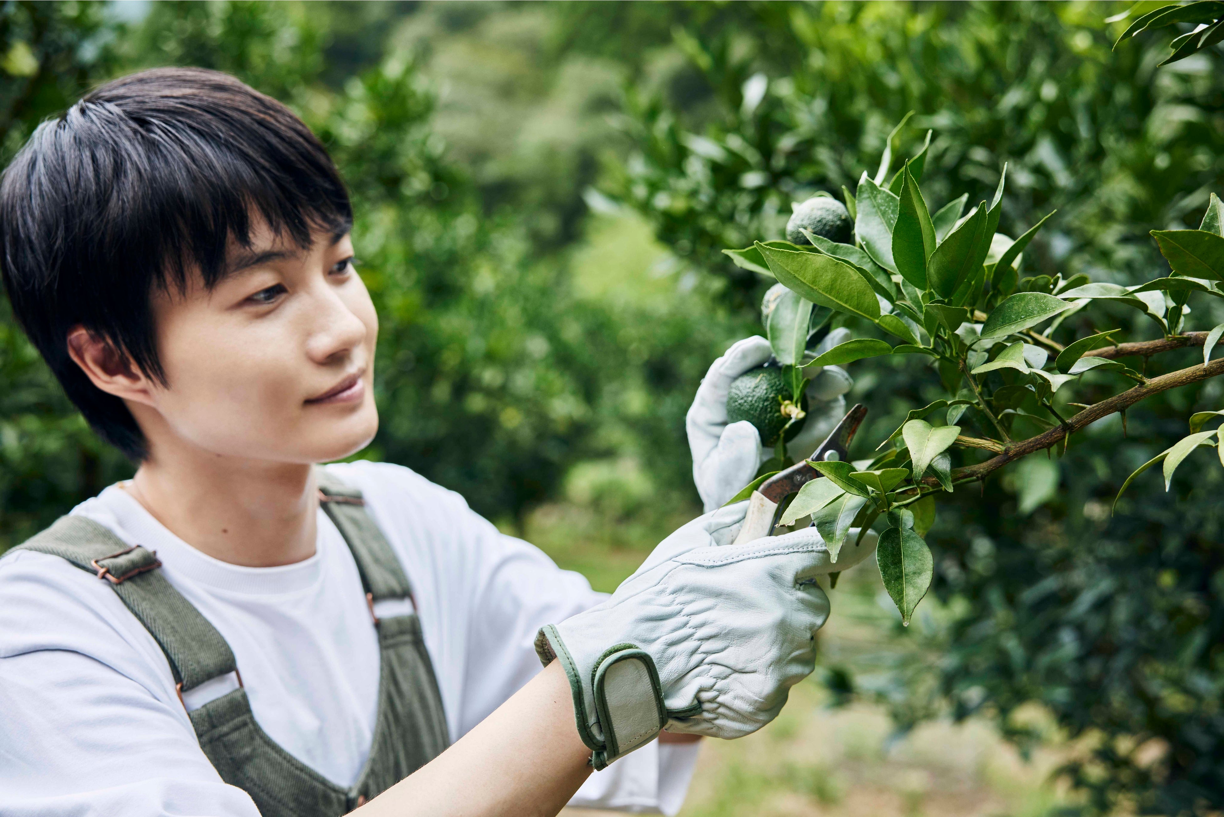 書籍『かみきこうち』より