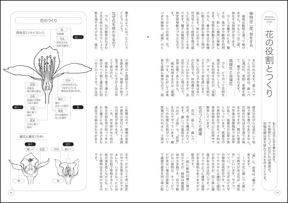 「道草ガイド　植物をもっと楽しむために」より